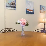Island Sunrise 360