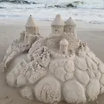 Seahorse 512