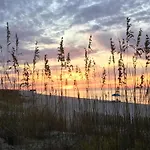 Seahorse 512
