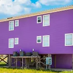 Purple House