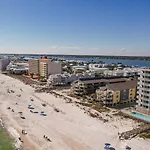 Caribbean 503