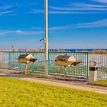 Surf Side Shores I 1602