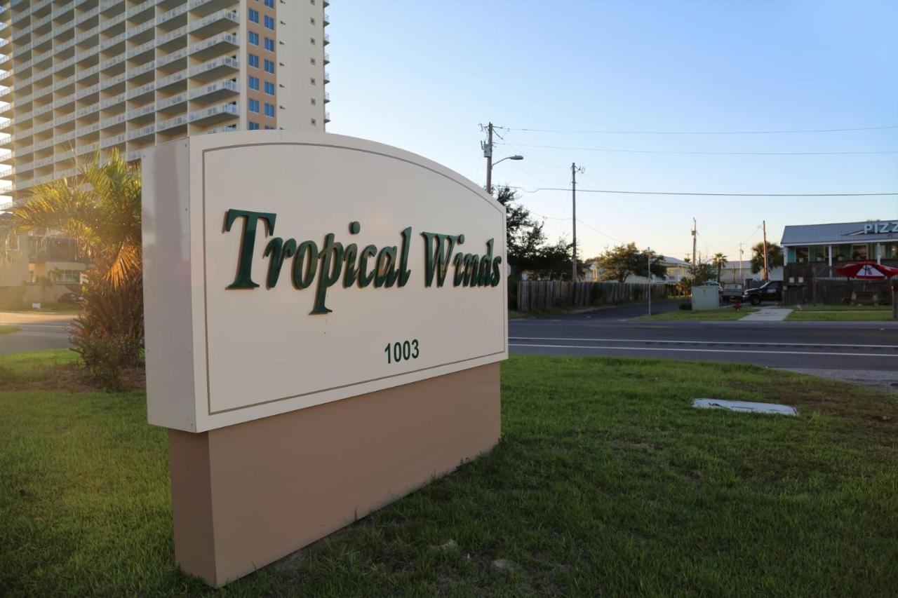 Tropical Winds 303