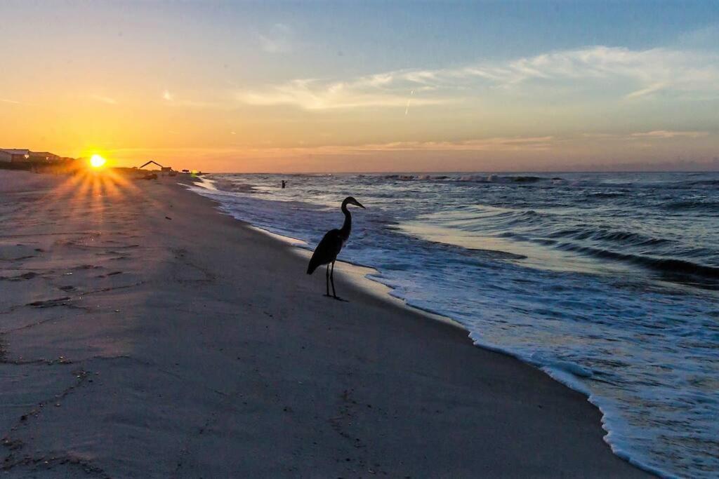 Apartment Sandpiper 12a-beach Blessings Completely Updated Beachfront Condo-seasonally Heated Pool Gulf Shores