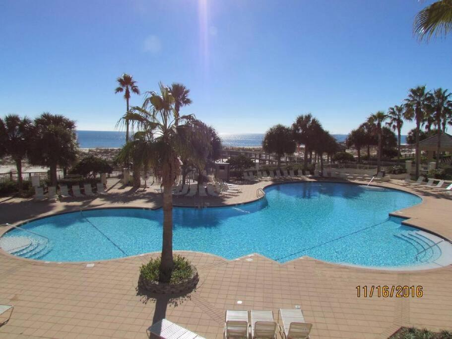 Apartment Doral 103 - Charming Beachfront / Ground Floor Condo! Gulf Shores