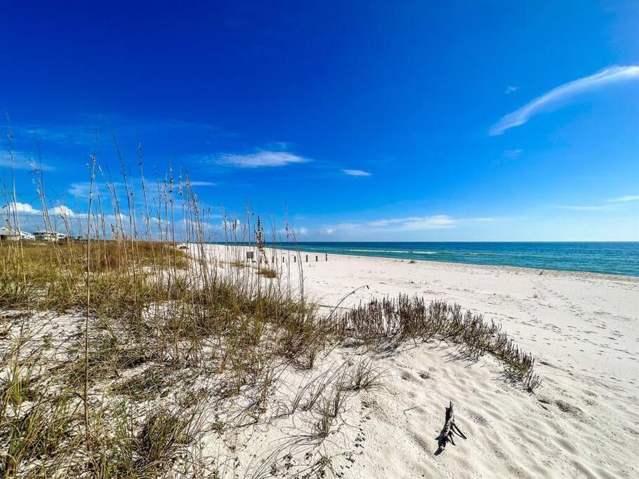 Surfside Paradise