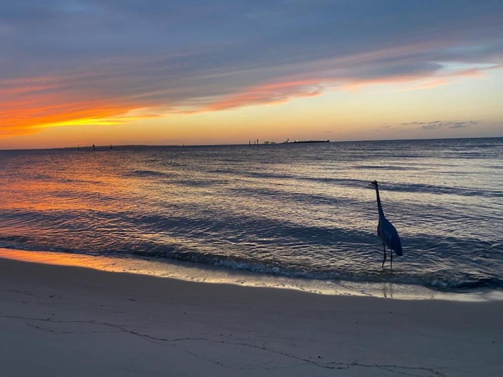 Holiday home Budget Friendly In The Heart Of Gulf Shores! Gulf Shores