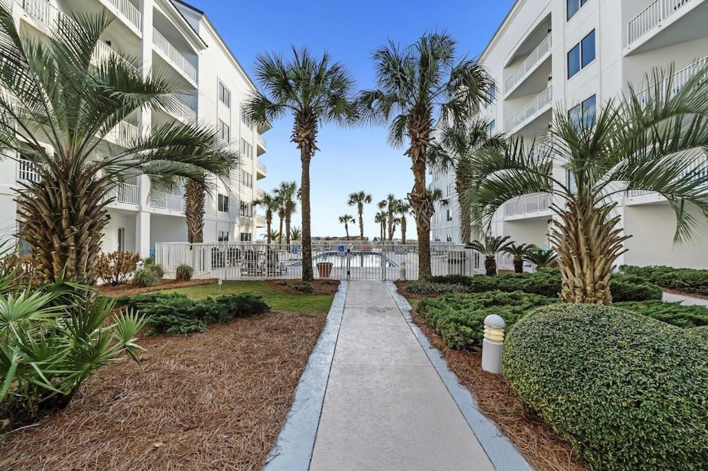 Palm 15b * Gulf Shores