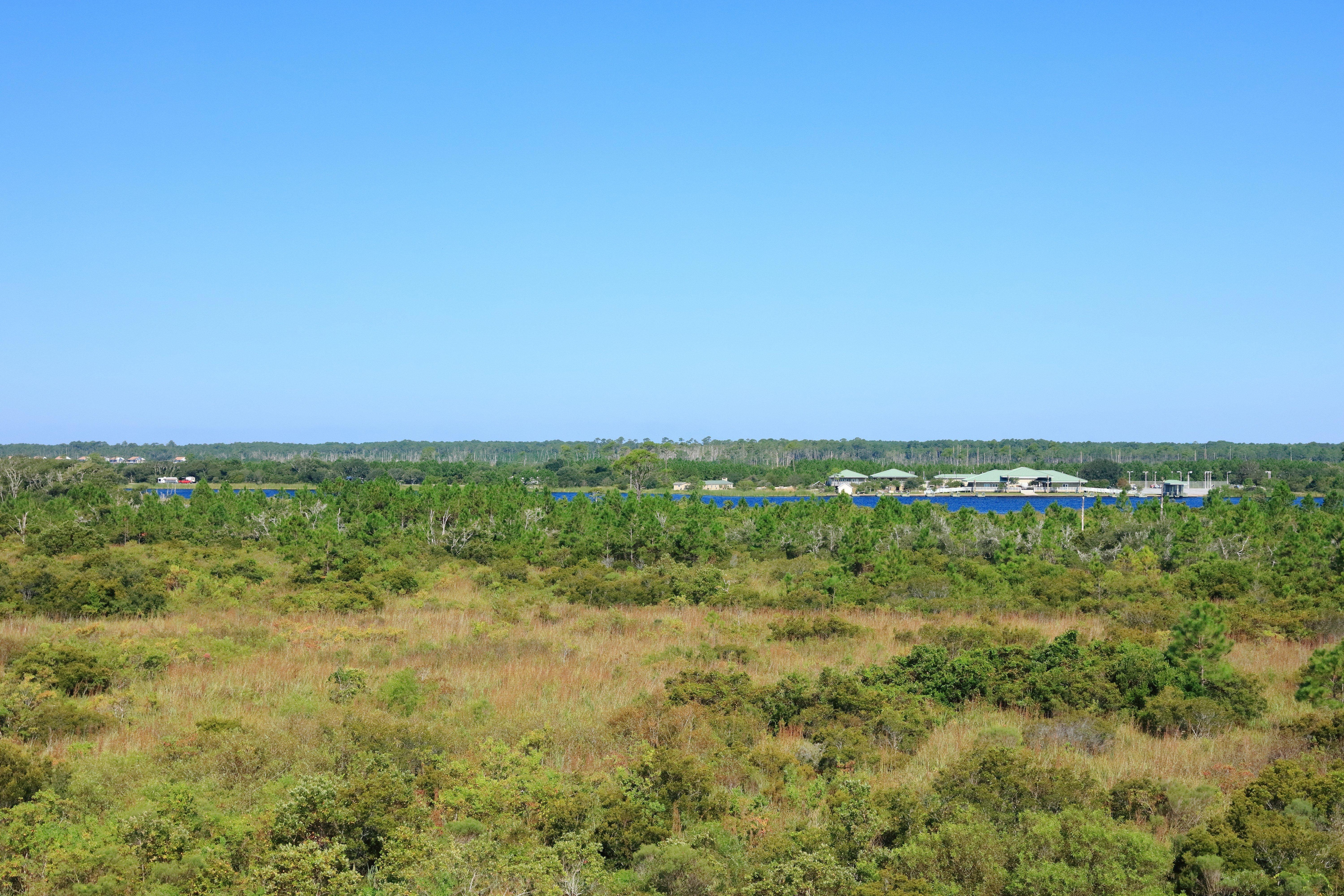 Indigo Orange - By Ihg Gulf Shores