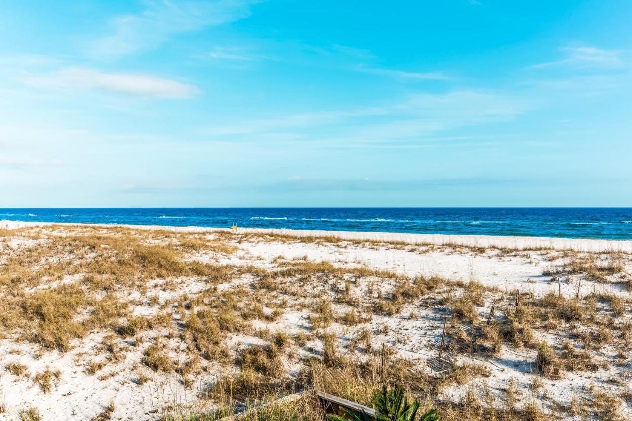 Palm A21 Gulf Shores