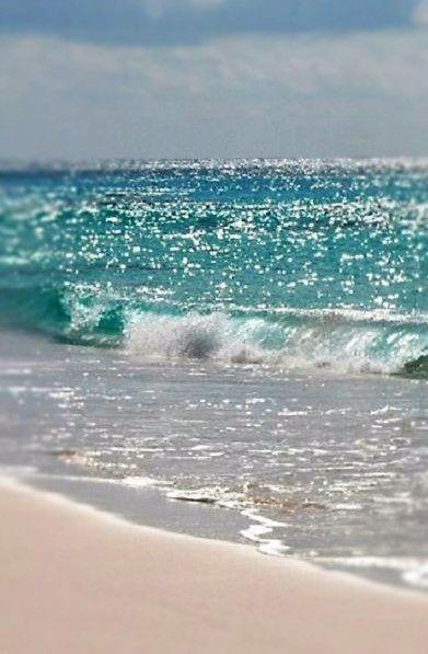 Seahorse 512 Holiday home Gulf Shores