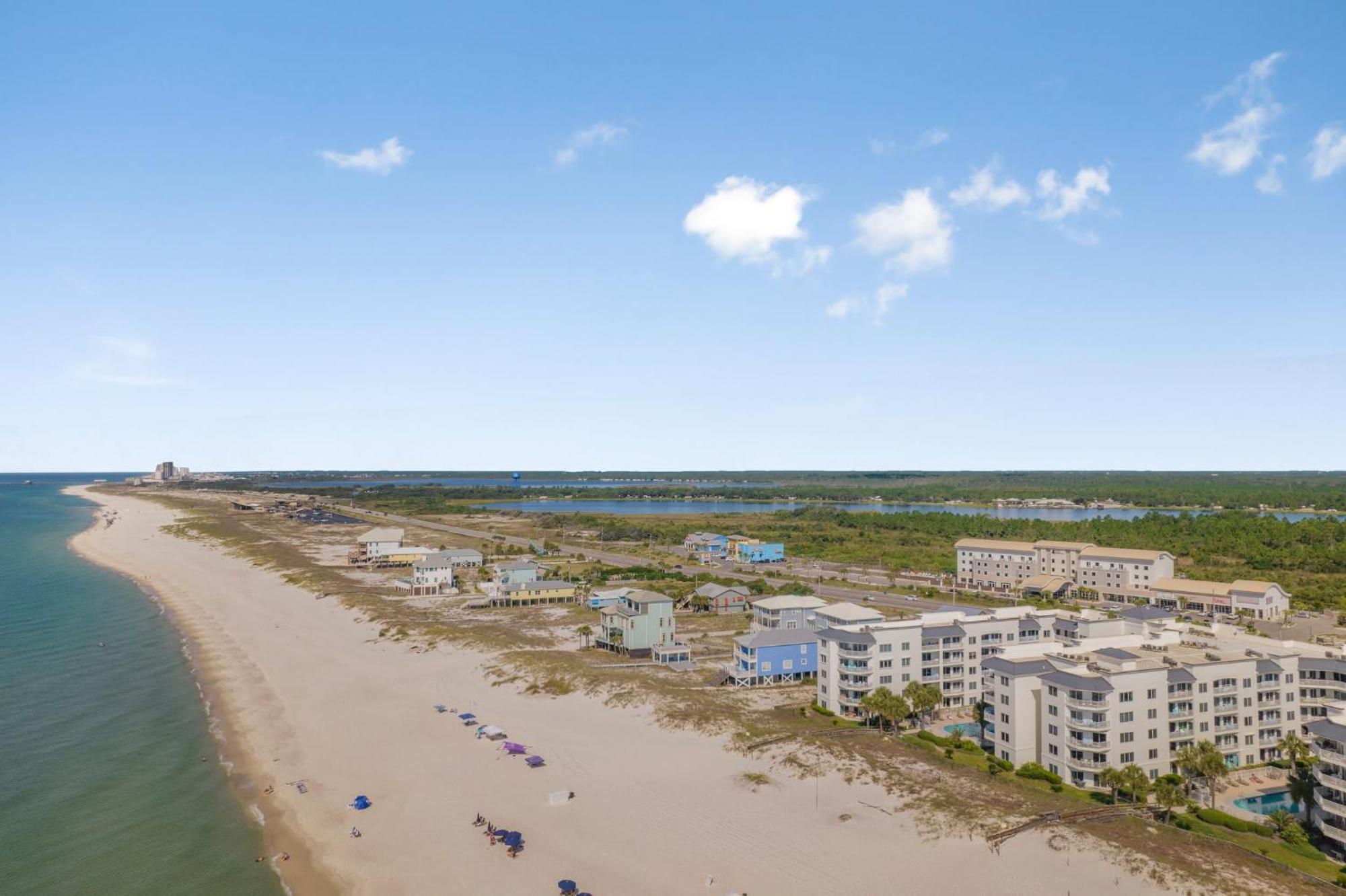 Palm C23 By Collection * Gulf Shores