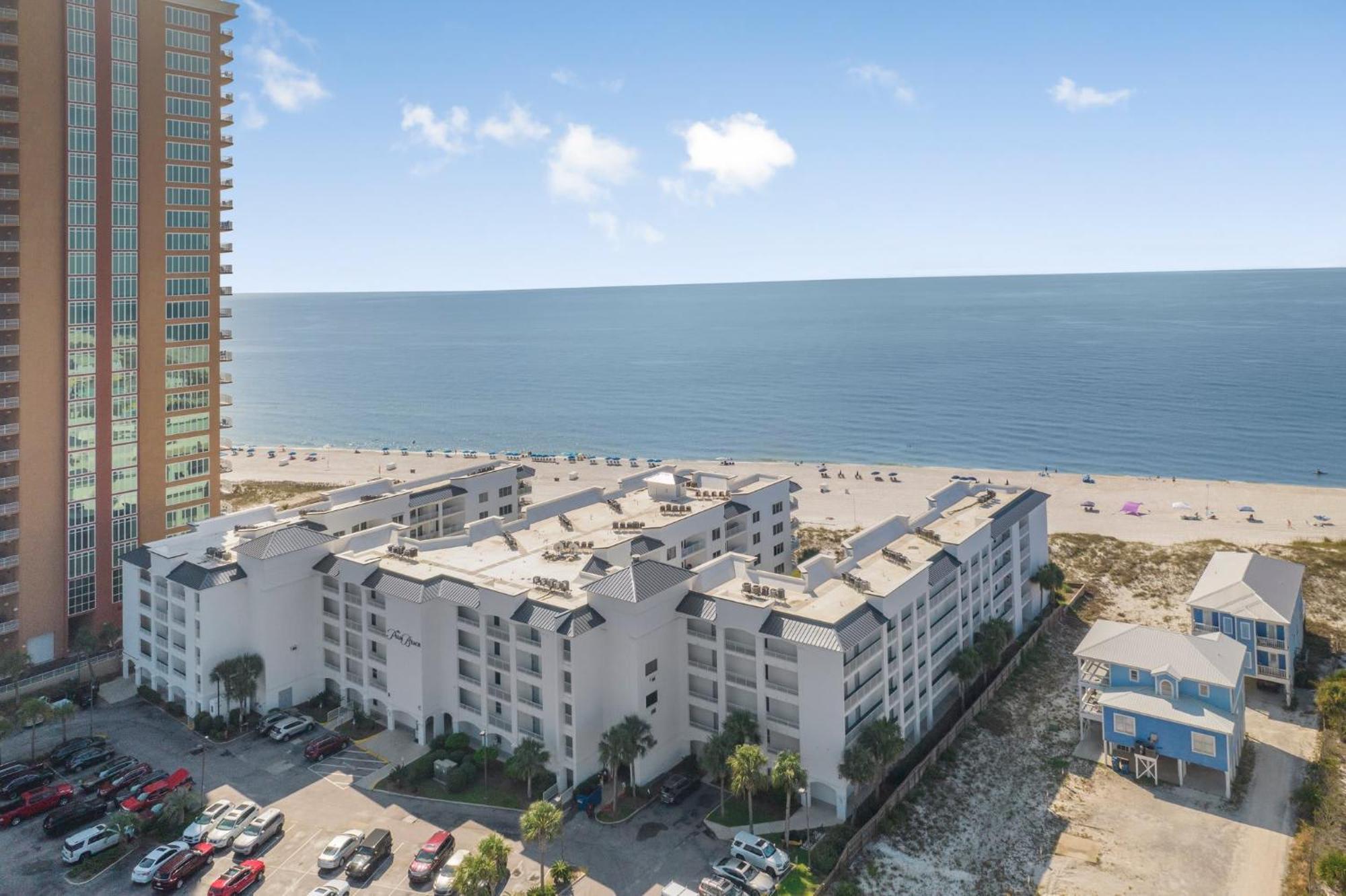 Palm C23 By Collection Gulf Shores