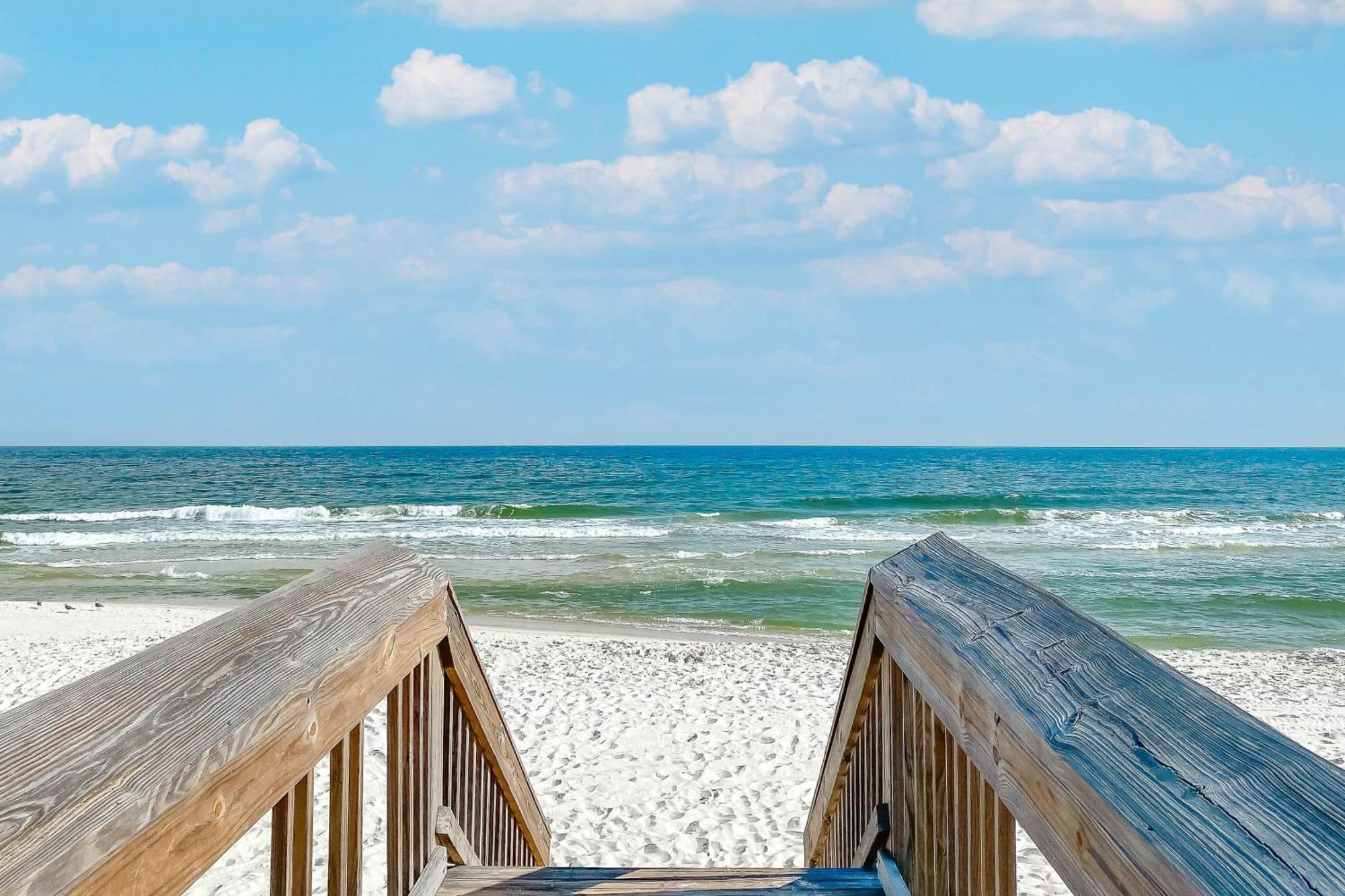 Bama Bliss *