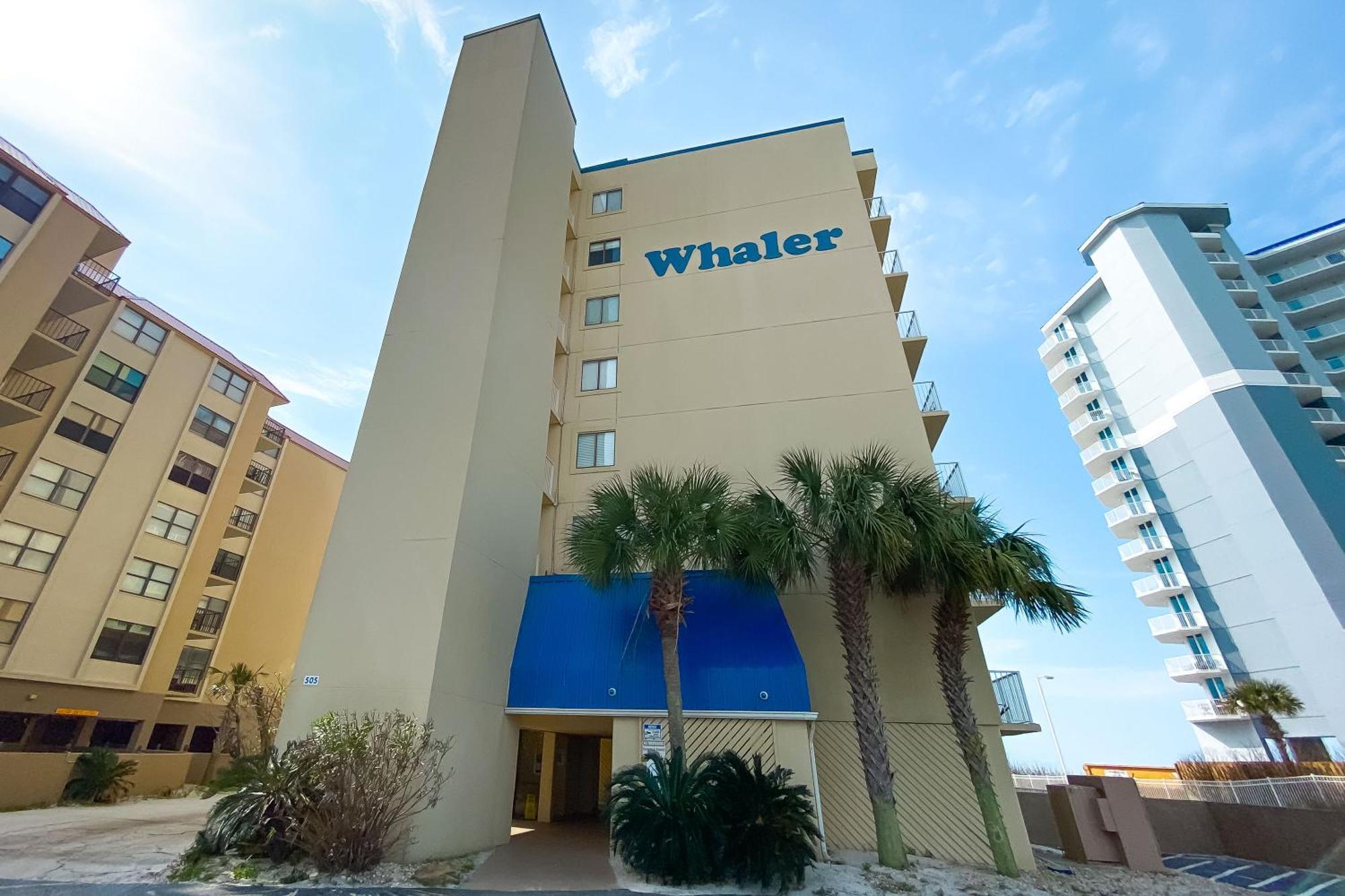 Whaler 5b