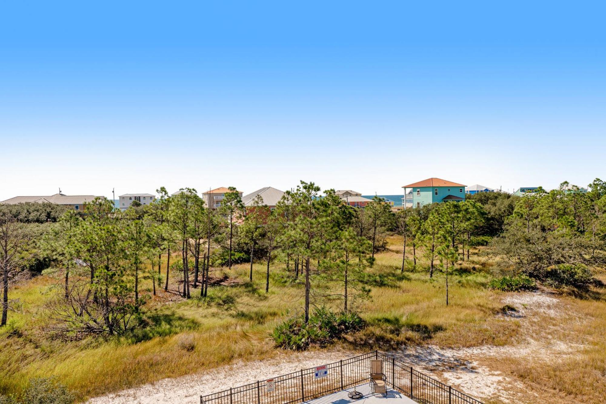 Southern Charm & Sunshine Paradise
