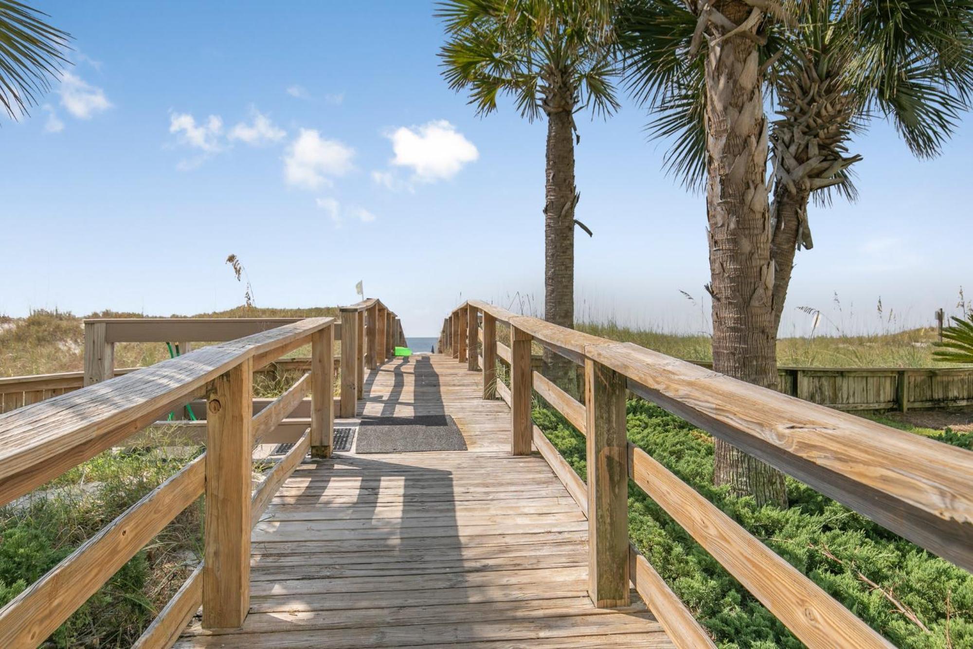 Palm C23 By Collection Gulf Shores