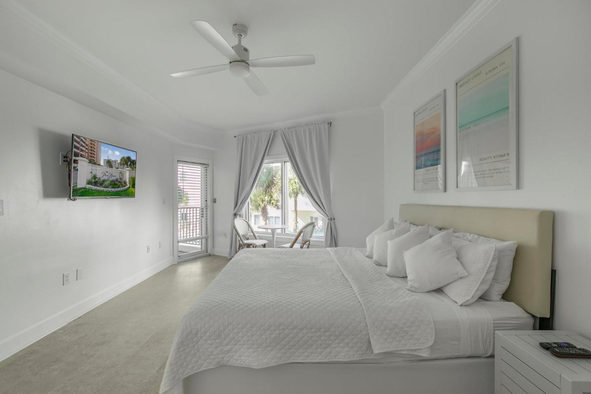 Palm C23 By Collection