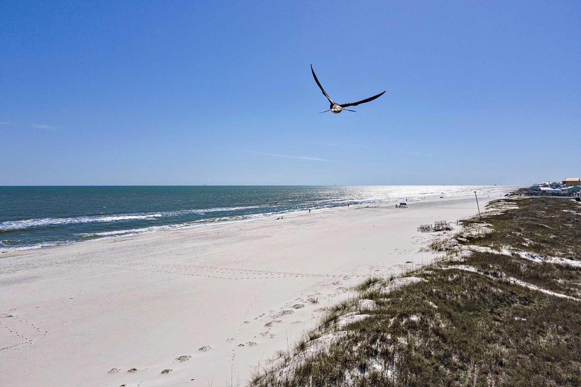 Southern Belle Gulf Shores