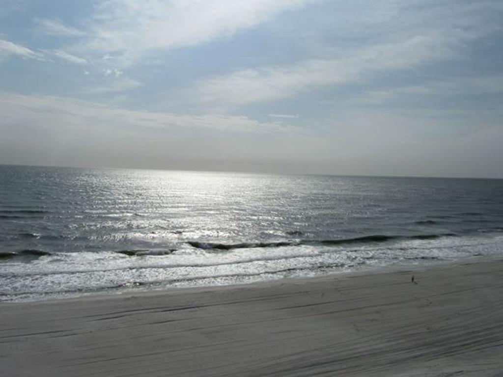 Apartment Gulf Tower Unit 8b