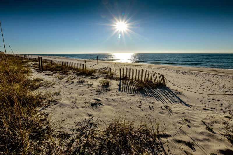 Tropical Winds Unit 301
